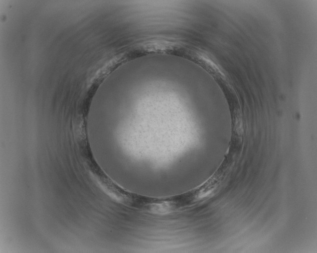 X0000071850411200606301342