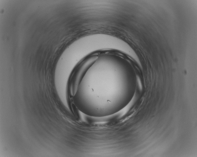 X0000071850412200606301342