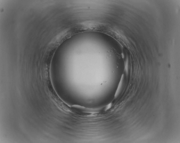 X0000071850413200606301342