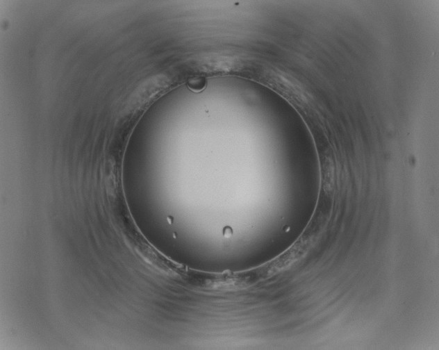 X0000071850414200606301342