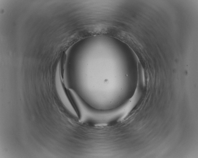 X0000071850416200606301342