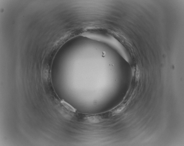 X0000071850417200606301342