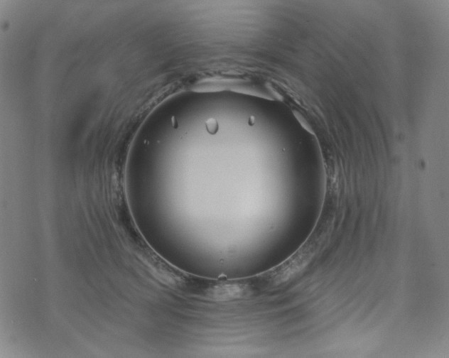 X0000071850418200606301342