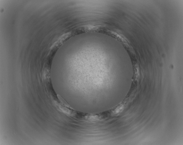 X0000071850419200606301342