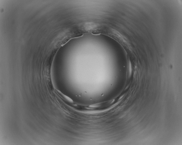 X0000071850421200606301342