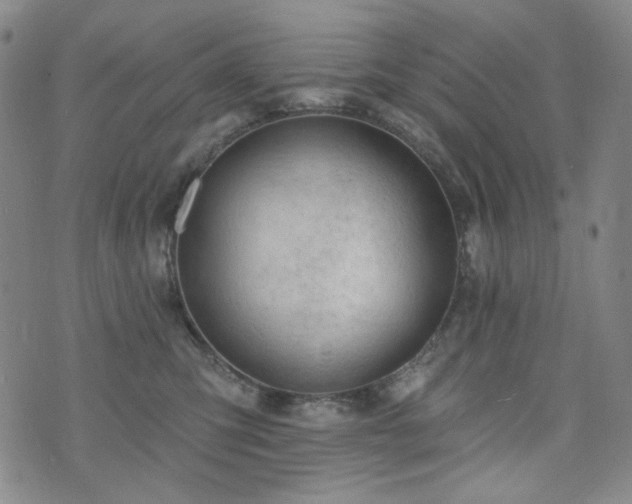 X0000071850423200606301342