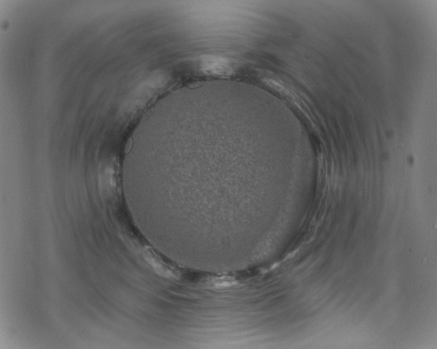 X0000071850424200606301342