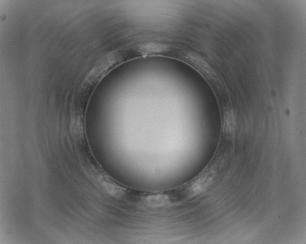 X0000071850426200606301342