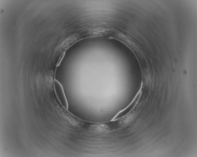 X0000071850427200606301342