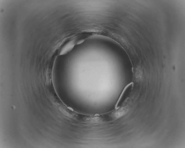 X0000071850428200606301342