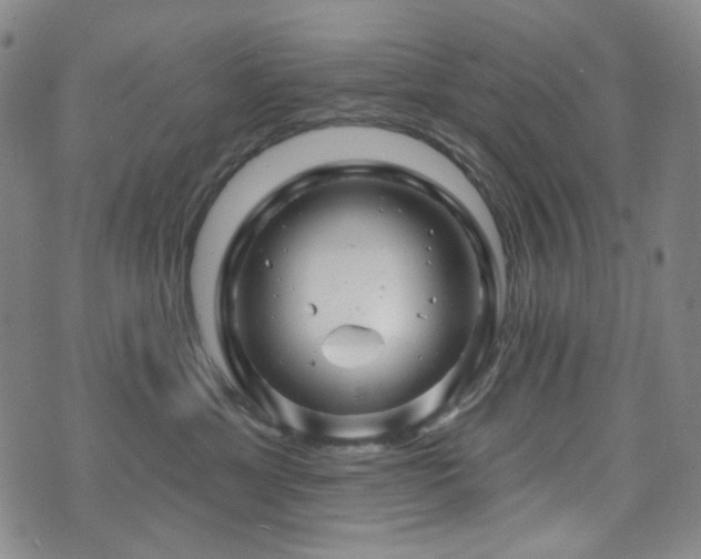 X0000071850429200606301342