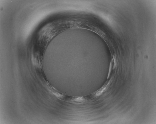 X0000071850431200606301342