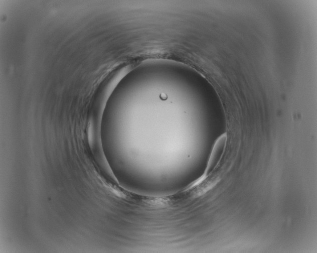 X0000071850432200606301342