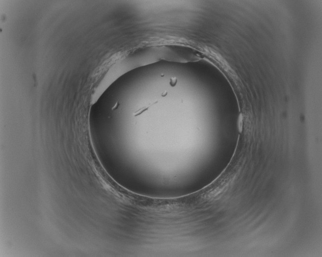 X0000071850433200606301341