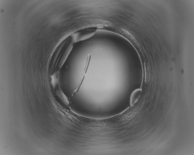 X0000071850435200606301341