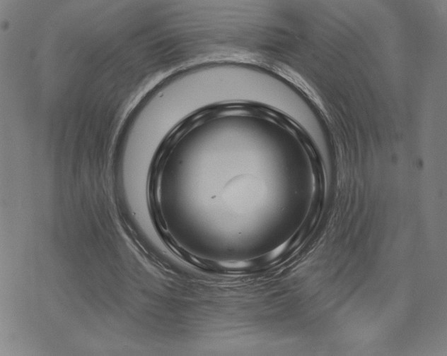 X0000071850436200606301341