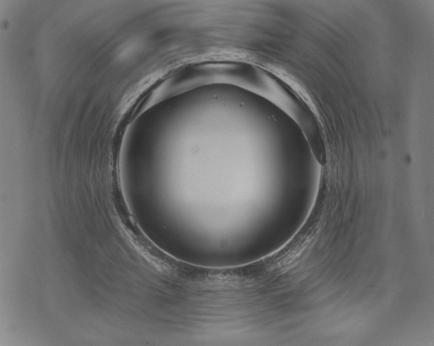 X0000071850437200606301341