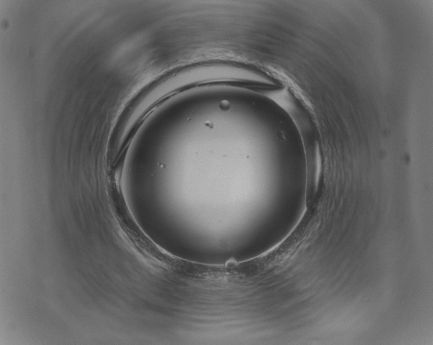 X0000071850439200606301341