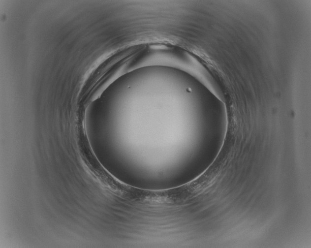 X0000071850440200606301341