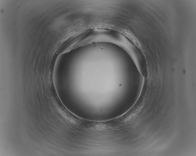 X0000071850441200606301341