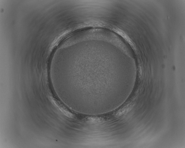 X0000071850442200606301341