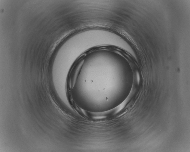 X0000071850444200606301341