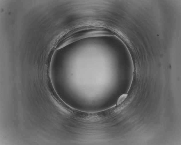 X0000071850445200606301341