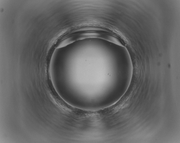 X0000071850446200606301341