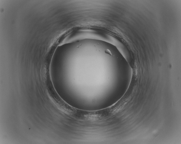 X0000071850448200606301341