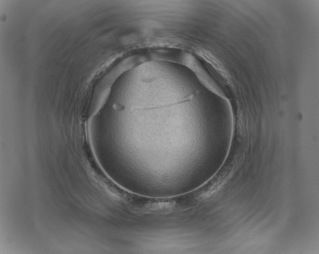 X0000071850449200606301341