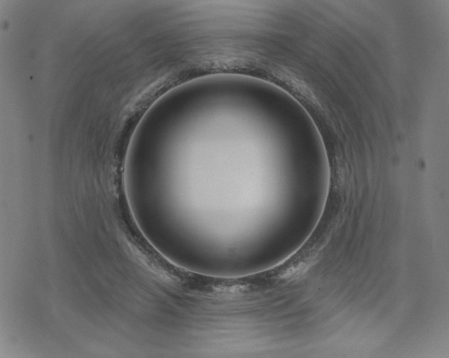 X0000071850450200606301341