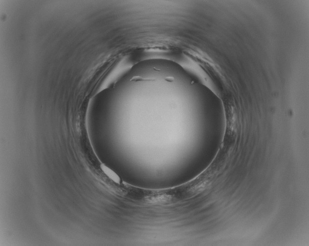 X0000071850452200606301341