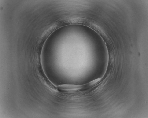 X0000071850453200606301341