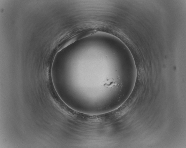 X0000071850454200606301341