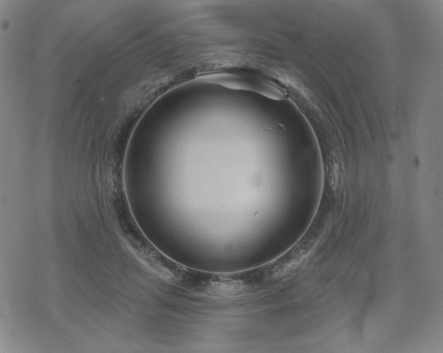 X0000071850455200606301341