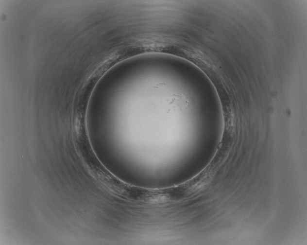 X0000071850456200606301341