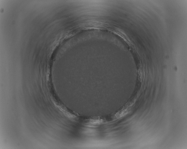 X0000071850458200606301341