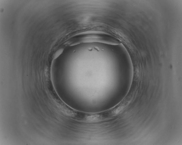 X0000071850461200606301341