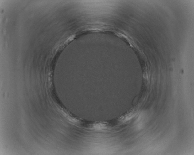 X0000071850462200606301341