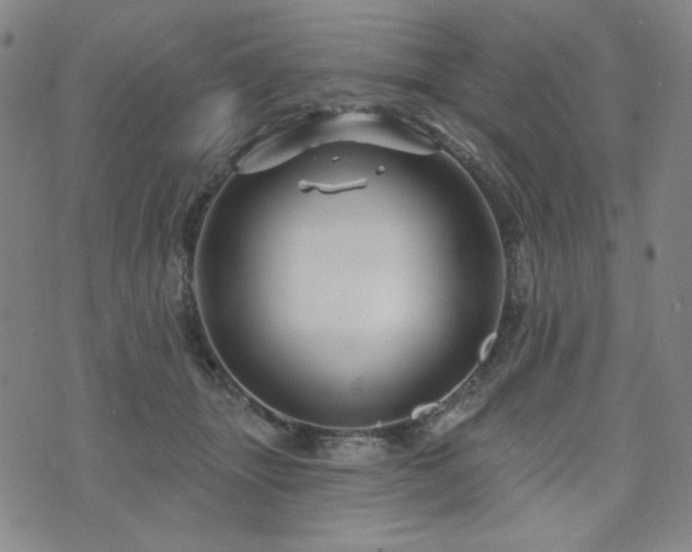 X0000071850463200606301341