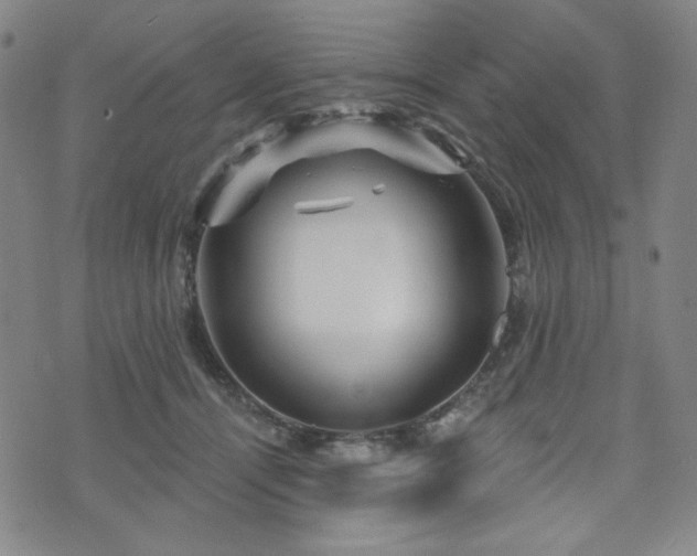 X0000071850464200606301341