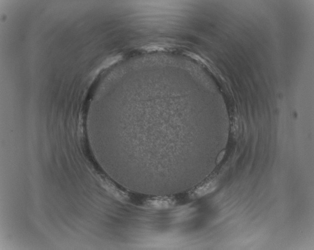 X0000071850466200606301341