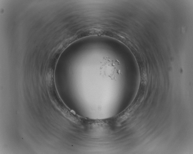 X0000071850468200606301341