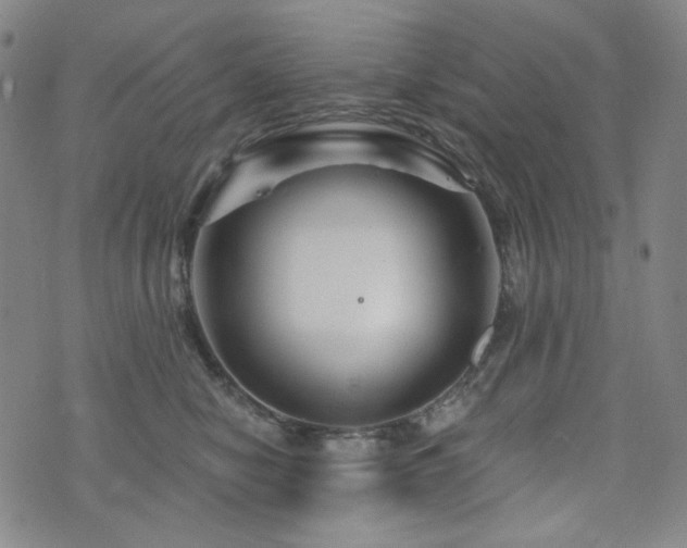 X0000071850470200606301342