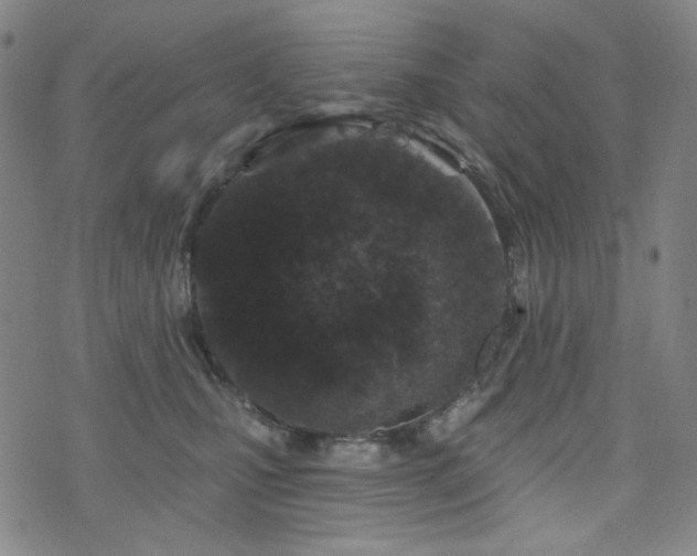 X0000071850471200606301342