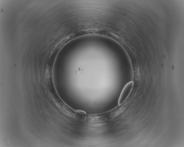 X0000071850472200606301342