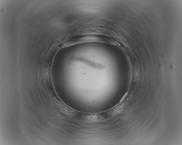 X0000071850473200606301342