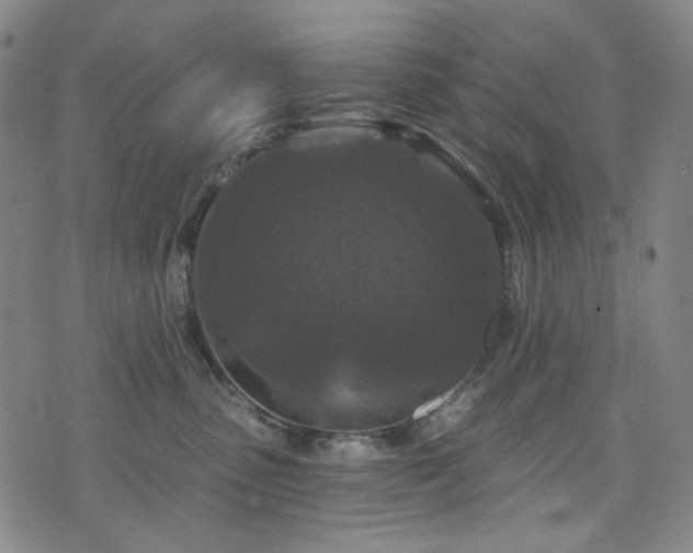 X0000071850475200606301342