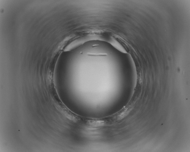 X0000071850476200606301342