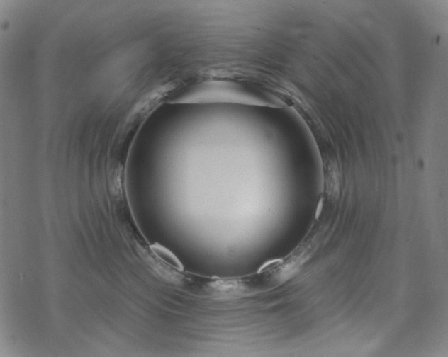 X0000071850477200606301342